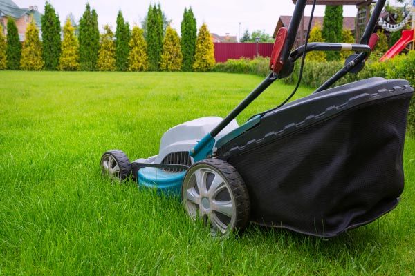 Cobb LandWorks Service