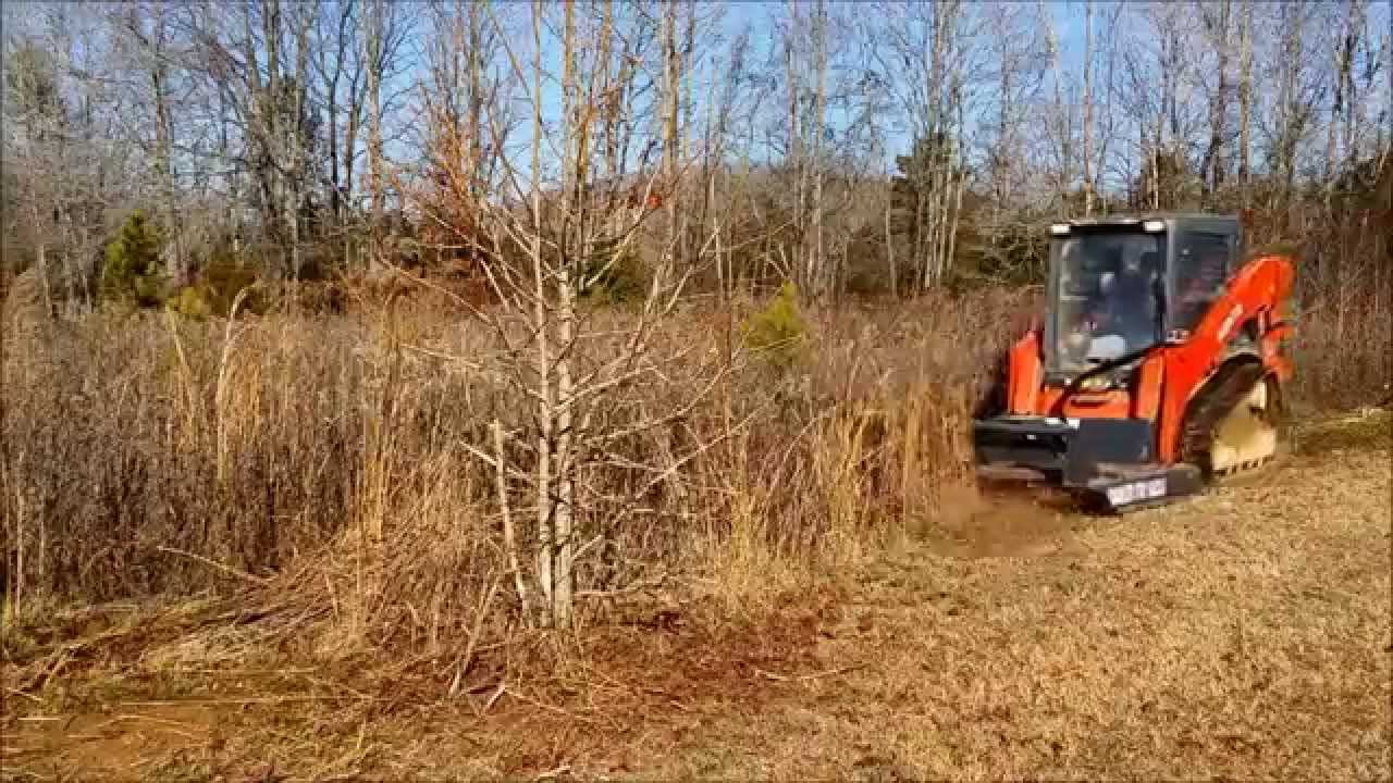 Top-Rated Forsyth Lawn Service